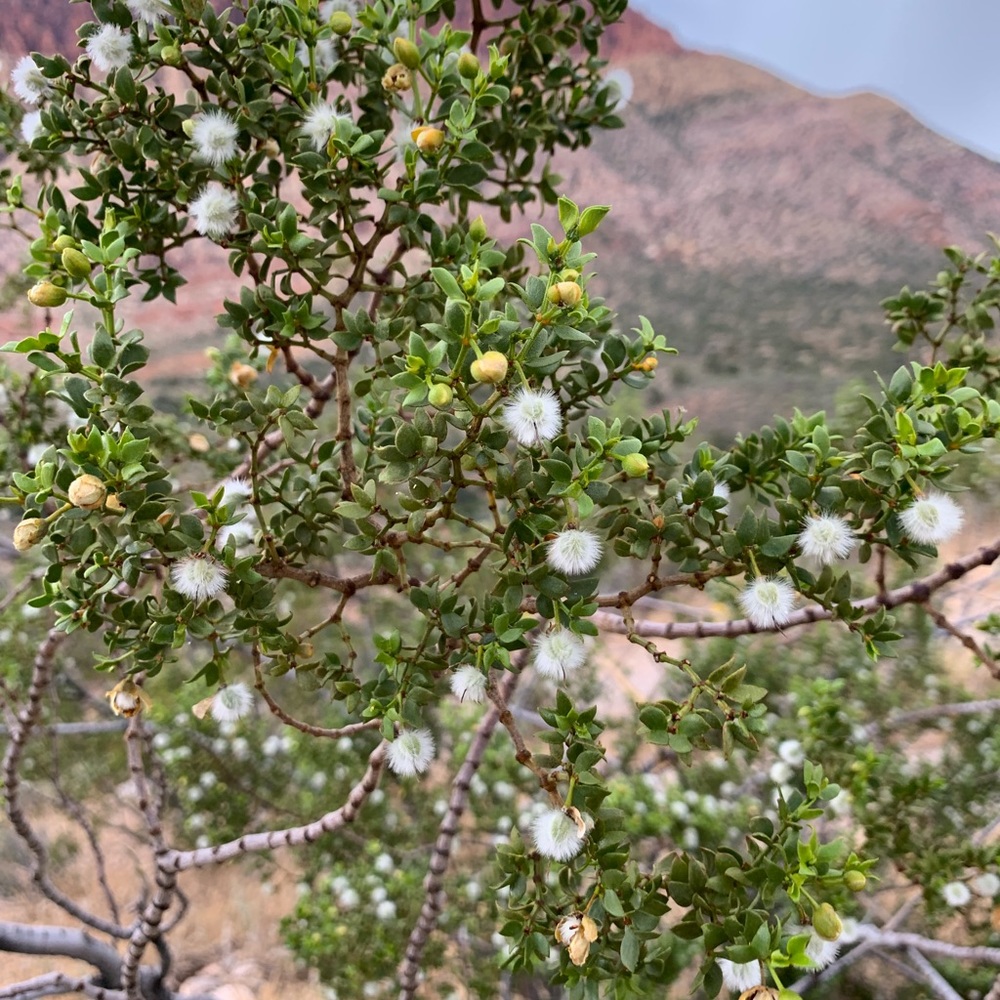 Meet your Posher, Kat